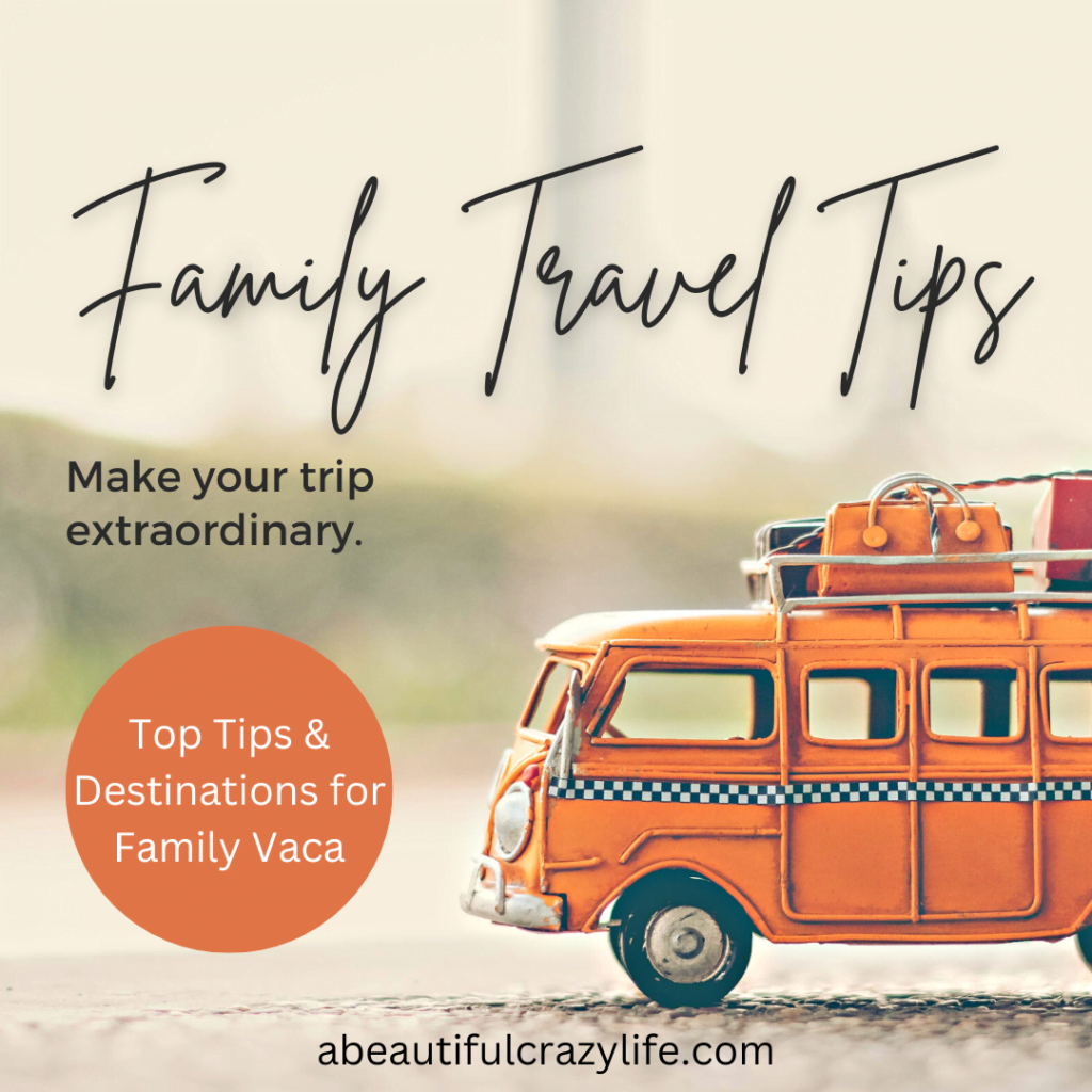 family travel tip